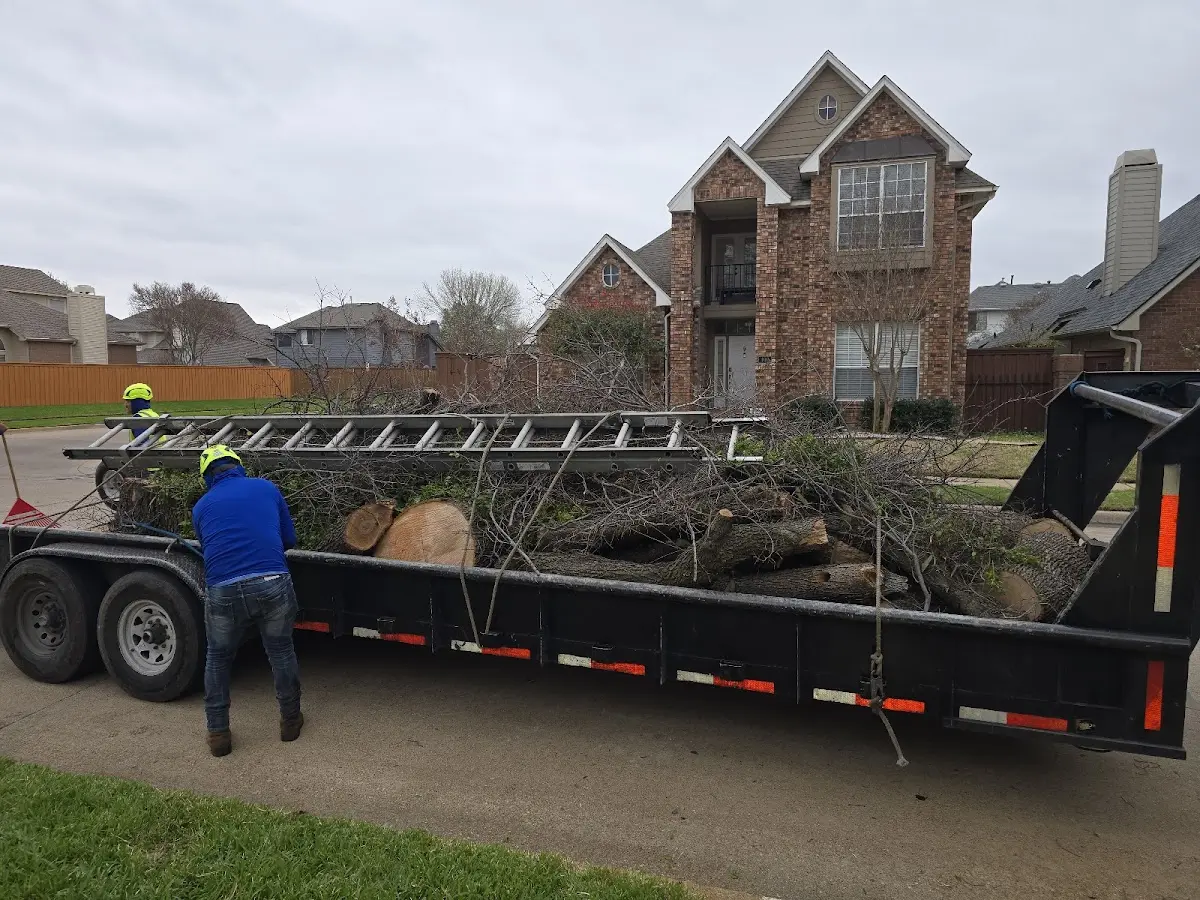 Expert Tree Fertilization with proper safety equipment in Kealia